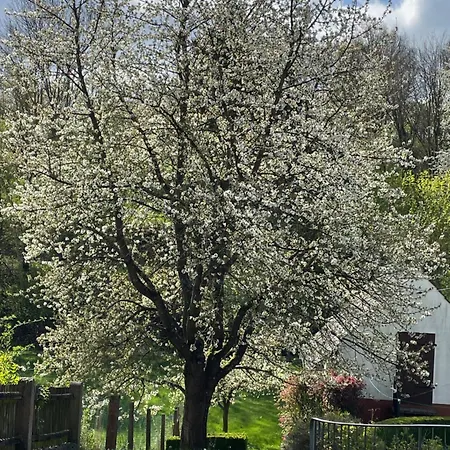 Am Kesperbaum Germerode